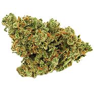 Buy Blueberry Kush Online - Canamela Weed Store