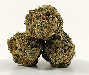 Buy Skywalker OG Online - Canamela Weed Store