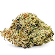 Buy Cookies Strain Online - Canamela Weed Store