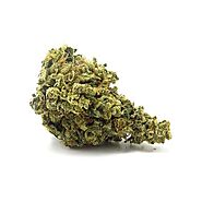 Buy Durban Poison Online - Canamela Weed Store