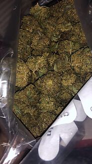 Buy Gelato Strain Online - Canamela Weed Store