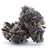 Buy Granddaddy Purple Online  - Canamela Weed Store