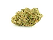 Buy Green Crack Online - Canamela Weed Store