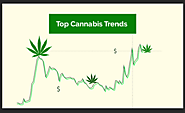 7 Emerging Trends of The Cannabis Industry That You Must Know About!