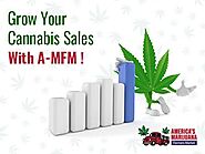 Check Out How Our Intuitive Marketplace Can Help Grow Your Cannabis Sales. - CBD World Web