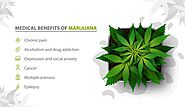 How Medical Marijuana is Helpful For Your Body? | by Americas Marijuana Farmers Market (A-MFM) | Dec, 2021 | Medium