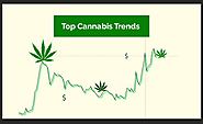 7 Emerging Trends of The Cannabis Industry That You Must Know About! | by Americas Marijuana Farmers Market (A-MFM) |...
