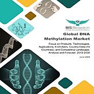 Global DNA Methylation Market