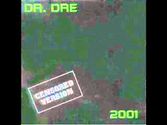Kris Davis (LF): Dr. Dre - "Xxplosive"
