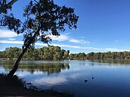 Wetlands and Waterways of Mildura and Murray River Tour and or Mildura to Wentworth, Tour, The Murray, Victoria, Aust...