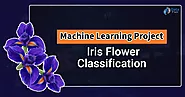 Iris Flower Classification Project using Machine Learning - DataFlair