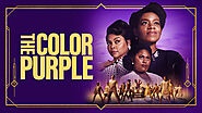 Purple Hues: The Vibrant Tale of 2024's Colorful Movie Goojara