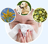 Treatment for Allergies - Philadelphia Acupuncture Clinic - Dr. Tsan & Assoc