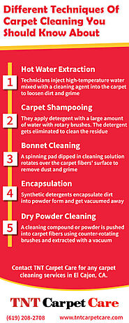 Different Techniques Of Carpet Cleaning You Should Know About [Infographic]