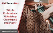 Why Is Professional Upholstery Cleaning So Important? | TNT Carpet Care