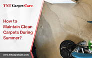 Top 5 Ways Maintain Clean Carpets During Summer