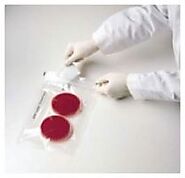 Best Petri Dishes Supplier in the USA