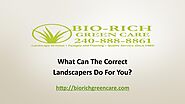 What Can The Correct Landscapers Do For You?