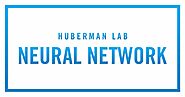 Teach & Learn Better With A "Neuroplasticity Super Protocol" - Huberman Lab