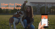 Be ahead in the Pet care Industry with our Robust Uber for Dog Walking App