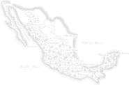 Cirugia Plastica Guadalajara | Lifting Facial Mexico