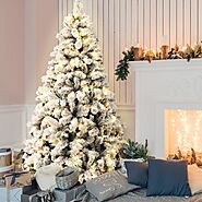 Best Collections of Christmas Trees