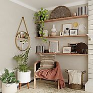 Stylish Shelves