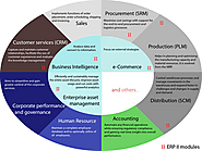 ERP software for large business market research