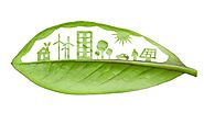 Definición de sostenibilidad: ¿sabes qué es y sobre qué trata? | Ingredientes que Suman