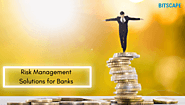 Pocket Guide On Challenges and Risk Management Solutions For Banks