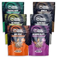 Best CBD Edible Gels 100mg