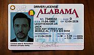 Website at https://legitvendor.us/product/alabama-fake-drivers-license/