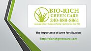The Importance of Lawn Fertilization