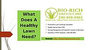 What Does A Healthy Lawn Need?