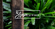 Brown Living - A Plastic Free Marketplace | Shop Only Sustainable