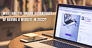 What Are the Unique Advantages of Having a Website in 2022?