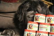 What Is Cetyl Myristoleate And Why Is It In My Dog's Joint Supplement? - mybrownnewfies.com