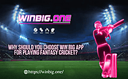 Why Should you choose WINBIG App for playing Fantasy Cricket?