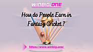 How do People Earn in Fantasy Cricket | Winbig