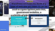 How to Create Amazing WordPress Web Design.mp4