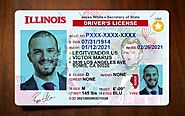 Illinois fake Driver’s License | Premium Illinois fake Driver’s License | Scannable Illinois fake Driver’s License | ...