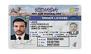 Nevada fake Driver license | Premium Nevada fake driver license | Scannable Nevada fake driver license | Fake Nevada ...