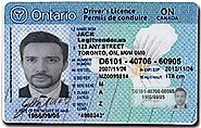 fake Ontario Driver’s License | Ontario driver’s license | premium Ontario fake driver’s license | Scannable Ontario ...