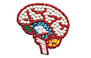 Best Brain Supplements for Adults