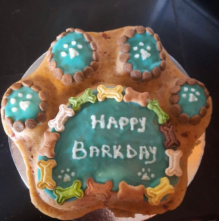 Birthday cakes for dogs in India A Listly List