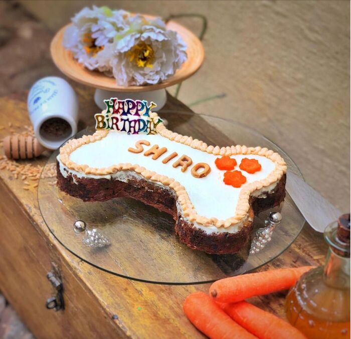 Birthday cakes for dogs in India A Listly List