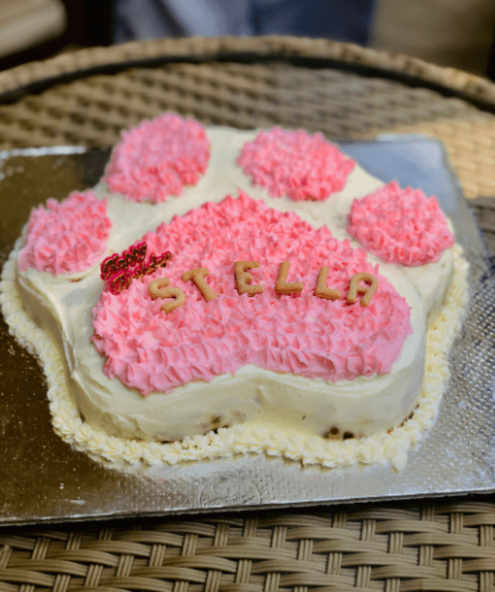 Birthday cakes for dogs in India A Listly List