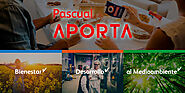 Pascual Aporta Medioambiente