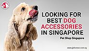 Get the Best Products from Online Pet Shop in Singapore