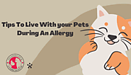 Tips to Live with Your Pet During An Allergy - WriteUpCafe.com